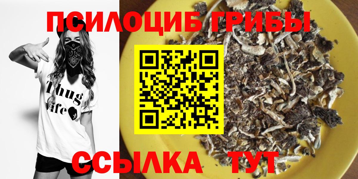 Галлюциногенные грибы Psilocybine cubensis Тихорецк