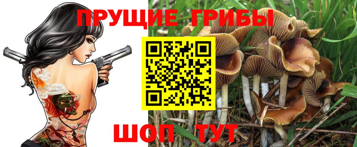Тихорецк  Галлюциногенные грибы мухоморы  Галлюциногенные грибы MAGIC MUSHROOMS  Вход с VPN 